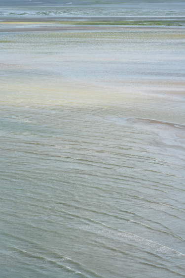 Fotografia zatytułowany „marée verte.jpg” autorstwa Elisabeth Laplante, Oryginalna praca, Fotografia cyfrowa