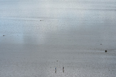 Photographie intitulée "sable d'argent.jpg" par Elisabeth Laplante, Œuvre d'art originale, Photographie numérique