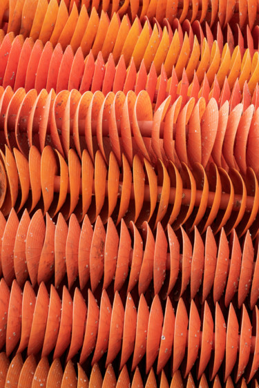 Photographie intitulée "coupelles en barres…" par Elisabeth Laplante, Œuvre d'art originale, Photographie numérique