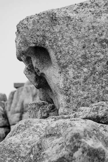 Fotografia zatytułowany „ouessantin songeur.…” autorstwa Elisabeth Laplante, Oryginalna praca, Fotografia cyfrowa