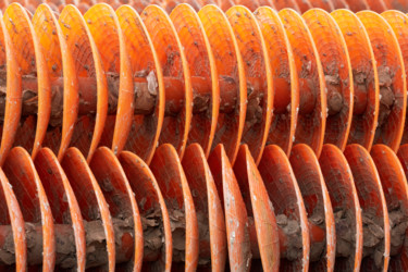 Photographie intitulée "oranges.jpg" par Elisabeth Laplante, Œuvre d'art originale, Photographie numérique