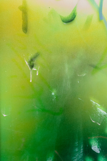 Fotografia intitolato "flottement.jpg" da Elisabeth Laplante, Opera d'arte originale, Fotografia digitale