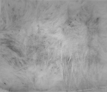 Рисунок под названием "Subtile 2" - Elisabeth Laplante, Подлинное произведение искусства, Карандаш