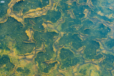 Photographie intitulée "continent submergé" par Elisabeth Laplante, Œuvre d'art originale, Photographie numérique