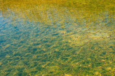 Photographie intitulée "another world" par Elisabeth Laplante, Œuvre d'art originale, Photographie numérique