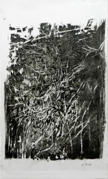 Printmaking titled "monotyype" by Elisabeth Poiret, Original Artwork, Monotype