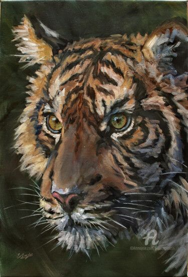 Painting titled "Tigre" by Elisabeth Bazin, Original Artwork, Acrylic