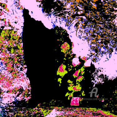 Fotografia intitolato "Caverne" da Elise Vincent, Opera d'arte originale, Fotografia digitale Montato su Cartone
