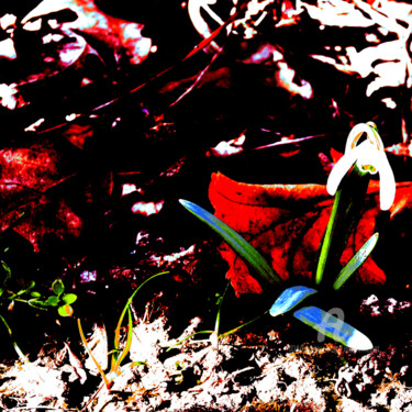 Φωτογραφία με τίτλο "Floral spaniel" από Elise Vincent, Αυθεντικά έργα τέχνης, Ψηφιακή φωτογραφία Τοποθετήθηκε στο Αλουμίνιο