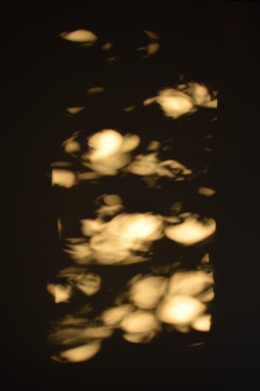 Photographie intitulée "Roses de nuit" par Elitrompe, Œuvre d'art originale
