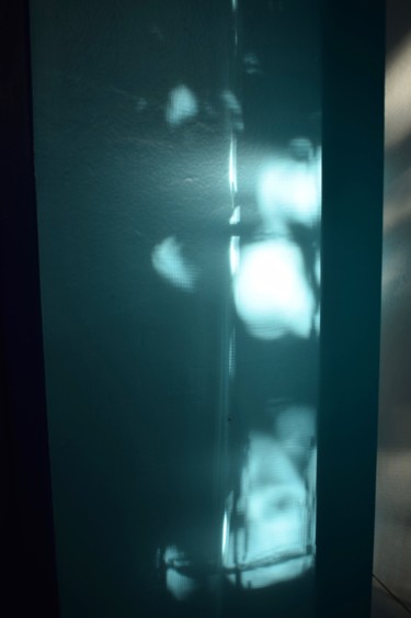 Fotografía titulada "X-Ray 3" por Elitrompe, Obra de arte original, Fotografía analógica
