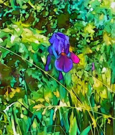 Photographie intitulée "Gladiolas at the Fa…" par Elizabeth Austin, Œuvre d'art originale, Photographie manipulée