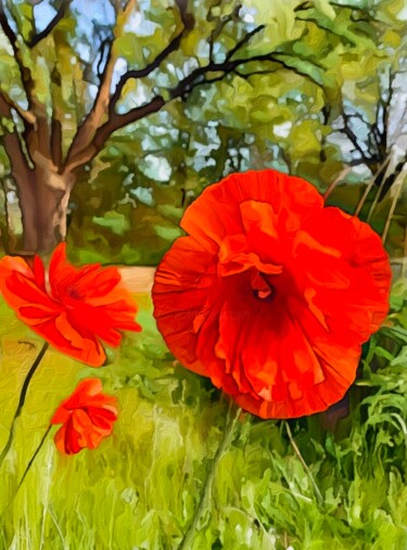 Photography titled "Hello Poppies" by Elizabeth Austin, Original Artwork, Manipulated Photography