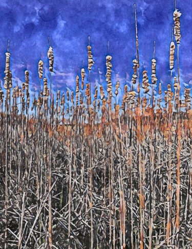 Photography titled "Wetland Beauty II" by Elizabeth Austin, Original Artwork, Manipulated Photography