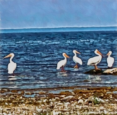 Photographie intitulée "Pelican Party Penin…" par Elizabeth Austin, Œuvre d'art originale, Photographie manipulée