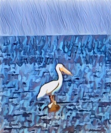 Photography titled "Pelican Party of On…" by Elizabeth Austin, Original Artwork, Manipulated Photography