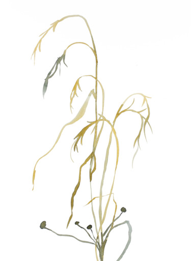Картина под названием "Grass Study No. 7" - Elizabeth Becker, Подлинное произведение искусства, Акварель