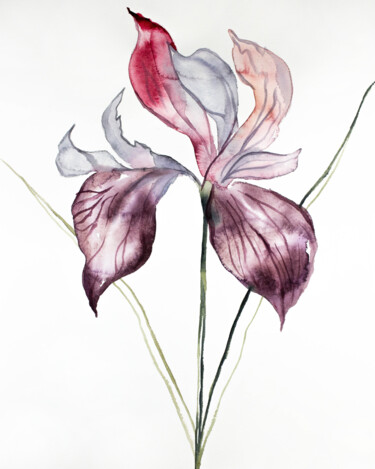 Peinture intitulée "Iris No. 102" par Elizabeth Becker, Œuvre d'art originale, Aquarelle