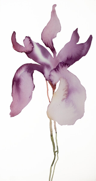 Peinture intitulée "Iris No. 145" par Elizabeth Becker, Œuvre d'art originale, Aquarelle