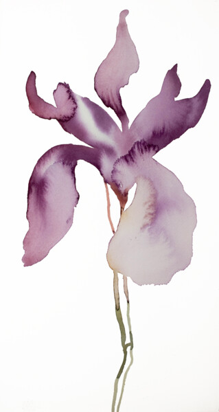 Pittura intitolato "Iris No. 145" da Elizabeth Becker, Opera d'arte originale, Acquarello