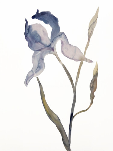 Malerei mit dem Titel "Iris No. 169" von Elizabeth Becker, Original-Kunstwerk, Aquarell