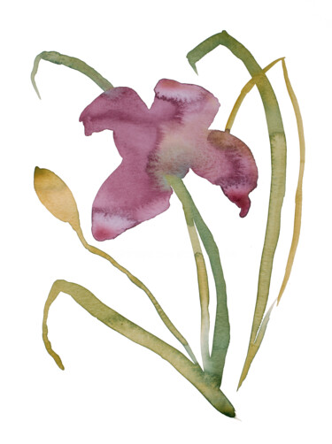 Painting titled "Lily No. 16" by Elizabeth Becker, Original Artwork, Watercolor