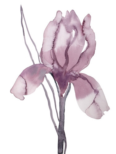 Peinture intitulée "Iris No. 193" par Elizabeth Becker, Œuvre d'art originale, Aquarelle