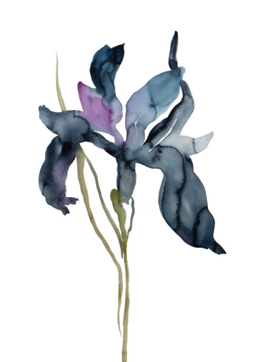 Peinture intitulée "Iris No. 195" par Elizabeth Becker, Œuvre d'art originale, Aquarelle