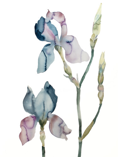 Peinture intitulée "Iris No. 196" par Elizabeth Becker, Œuvre d'art originale, Aquarelle