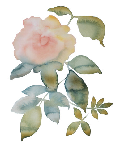 Painting titled "Rose Study No. 80" by Elizabeth Becker, Original Artwork, Watercolor