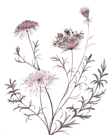 Painting titled "Queen Anne's Lace N…" by Elizabeth Becker, Original Artwork, Watercolor