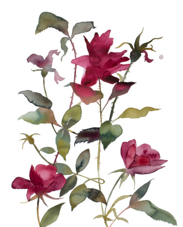 Peinture intitulée "Rose Study No. 84" par Elizabeth Becker, Œuvre d'art originale, Aquarelle