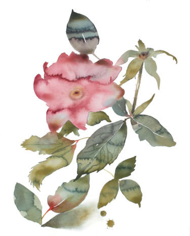 Painting titled "Rose Study No. 88" by Elizabeth Becker, Original Artwork, Watercolor