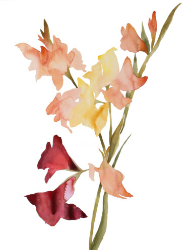 Pintura intitulada "Gladiolus No. 1" por Elizabeth Becker, Obras de arte originais, Aquarela