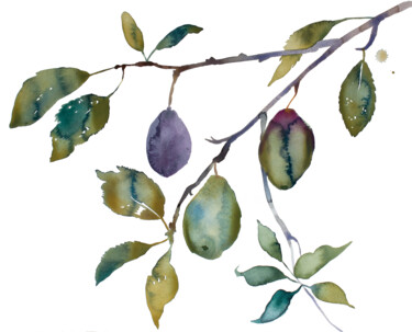 Painting titled "Plum Study" by Elizabeth Becker, Original Artwork, Watercolor