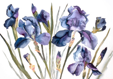 Painting titled "Irises" by Elizabeth Becker, Original Artwork, Watercolor