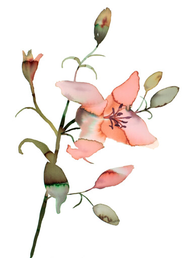 Peinture intitulée "Lily No. 17" par Elizabeth Becker, Œuvre d'art originale, Aquarelle