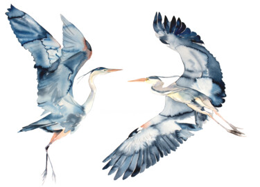 Pintura titulada "Herons in Flight" por Elizabeth Becker, Obra de arte original, Acuarela