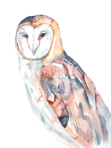 Painting titled "Barn Owl No. 7" by Elizabeth Becker, Original Artwork, Watercolor