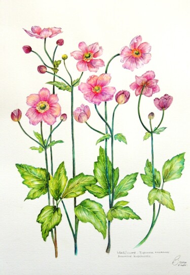 Картина под названием "Flowers of the Wind" - Elizabeth Sadler, Подлинное произведение искусства, Акварель