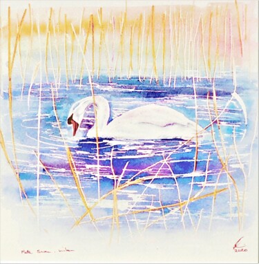 Painting titled "Mute Swan, Wicken F…" by Elizabeth Sadler, Original Artwork, Watercolor