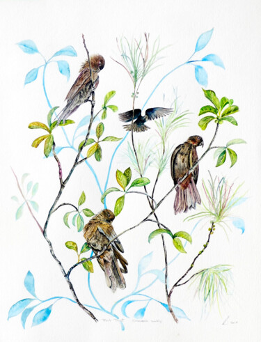 Pintura titulada "Tropical Parrots" por Elizabeth Sadler, Obra de arte original, Acuarela