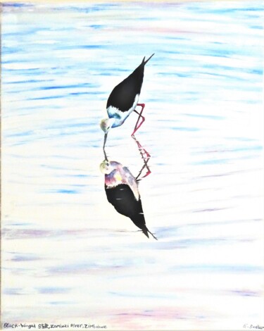 Pittura intitolato "Black-winged Stilt…" da Elizabeth Sadler, Opera d'arte originale, Olio Montato su Telaio per barella in…