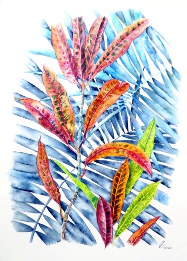 绘画 标题为“Tropical Colours” 由Elizabeth Sadler, 原创艺术品, 水彩