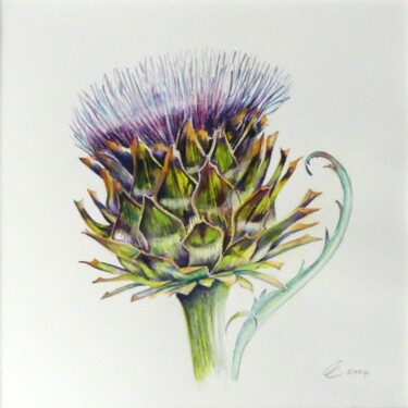 Painting titled "Artichoke" by Elizabeth Sadler, Original Artwork, Watercolor