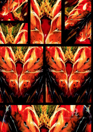 Digitale Kunst getiteld "Oranje 4" door Elizabeth Zijlstra, Origineel Kunstwerk, Digitale afdruk
