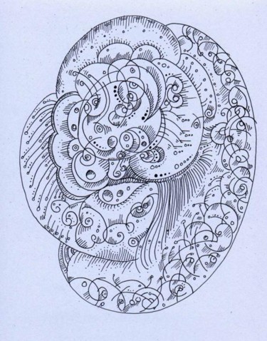 Drawing titled "Trilobite" by Elizabeth Howard, Original Artwork, Other