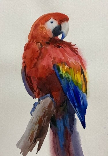 Pittura intitolato "Ara parrot" da Elizaveta Stepanova, Opera d'arte originale, Acquarello