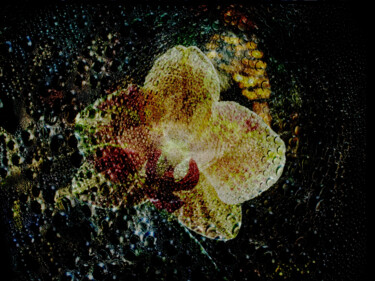 Photographie intitulée "Orchid as a painting" par Elke Matthaeus, Œuvre d'art originale