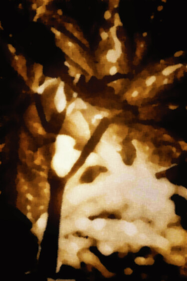Photographie intitulée "Begonia" par Elke Matthaeus, Œuvre d'art originale, Photographie manipulée